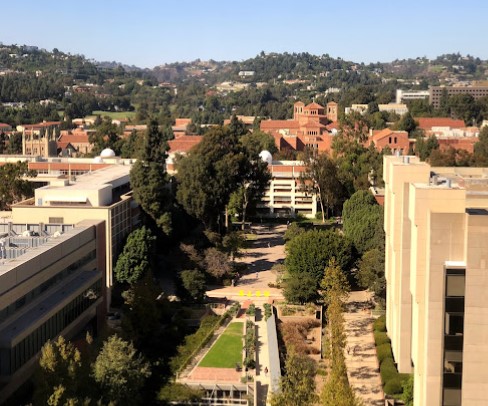 UCLA2.jpg